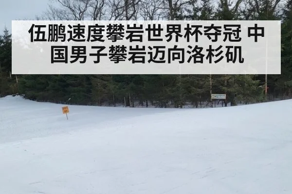 伍鹏速度攀岩世界杯夺冠 中国男子攀岩迈向洛杉矶