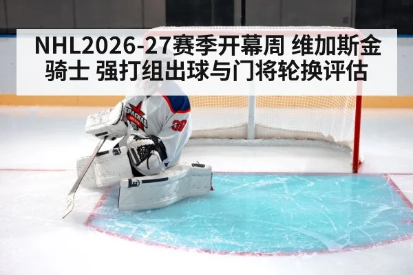 ice hockey goalie crease